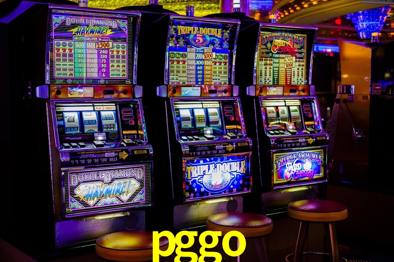 Experiência VIP pggo